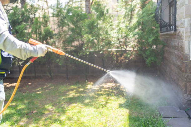 Wasp Removal Services in Montgomery, IN