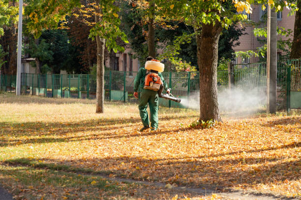 Best Bird Control  in Montgomery, IN