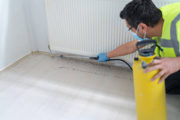 Pest Control for Restaurants in Montgomery, IN